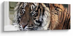 Tablou cu tigrul (cu ceas) (90x30 cm)