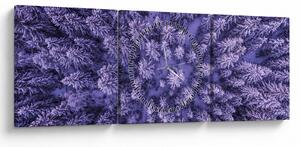 Tablou cu copacii înzăpeziți (cu ceas) (90x30 cm)