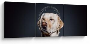Tablou cu labrador (cu ceas) (90x30 cm)