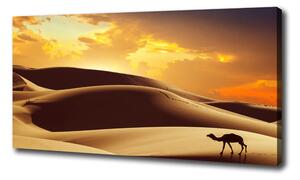 Print pe pânză cămilă Sahara