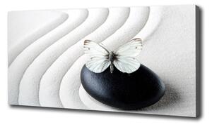Tablou pe pânză piatra Zen și fluture