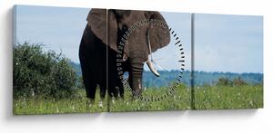 Tablou cu elefant (cu ceas) (90x30 cm)