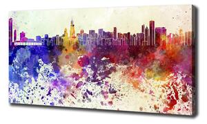 Tablou canvas colorat Chicago