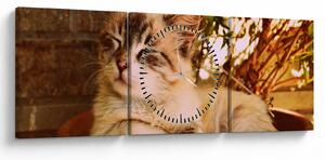 Tablou cu pisica în ghiveci (cu ceas) (90x30 cm)