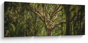 Tablou cu copaci (cu ceas) (90x30 cm)