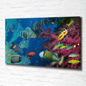 Tablou pe pânză canvas recif de corali