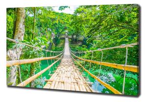 Tablou pe pânză canvas Cele mai multe pădure de bambus