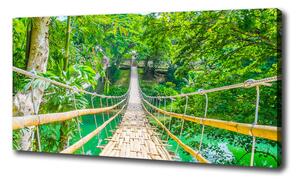 Tablou pe pânză canvas Cele mai multe pădure de bambus