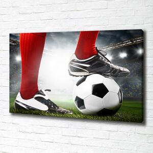 Tablou canvas picioare fotbalist