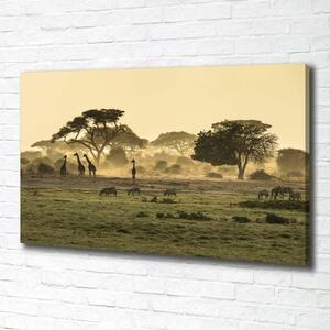 Pictură pe pânză Girafele pe savana