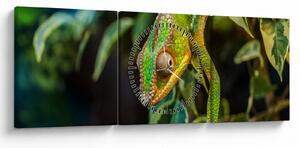 Tablou cu cameleon (cu ceas) (90x30 cm)
