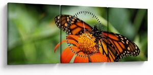 Tablou cu fluture pe floare (cu ceas) (90x30 cm)
