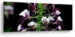 Tablou cu floare (cu ceas) (90x30 cm)