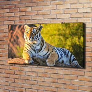 Print pe pânză Portret de un tigru