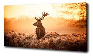 Print pe pânză Sunrise Deer