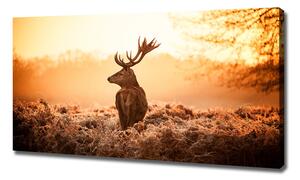 Print pe pânză Sunrise Deer