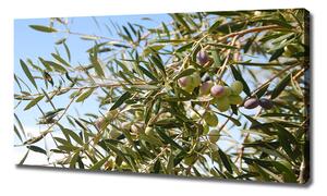 Tablou pe pânză canvas oliv