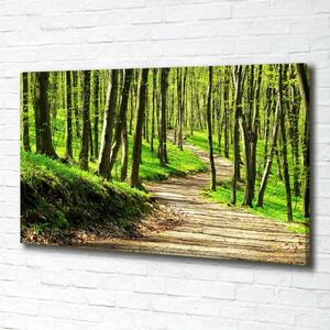 Print pe canvas Calea în pădure