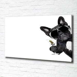 Imprimare tablou canvas Câine cu martini