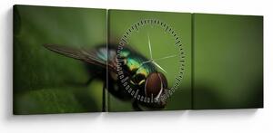 Tablou - Musca (cu ceas) (90x30 cm)