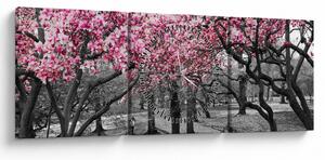 Tablou copacului magnolie (cu ceas) (90x30 cm)