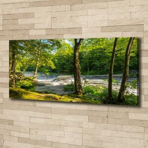 Tablou pe pânză canvas Râul în pădure