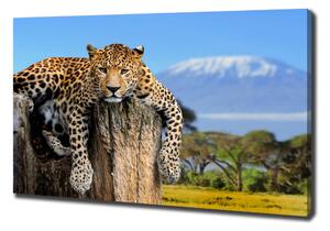 Imprimare tablou canvas Leopard pe un ciot de copac