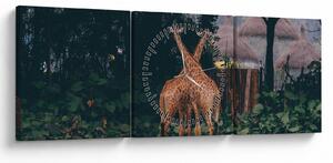 Tablou cu două girafe (cu ceas) (90x30 cm)