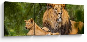 Tablou cu lei (cu ceas) (90x30 cm)