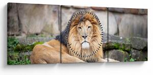 Tablou cu leu (cu ceas) (90x30 cm)