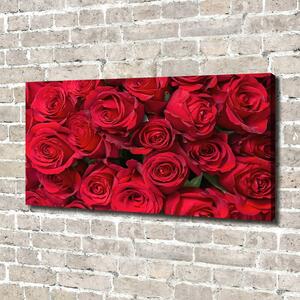 Tablou canvas trandafiri rosii