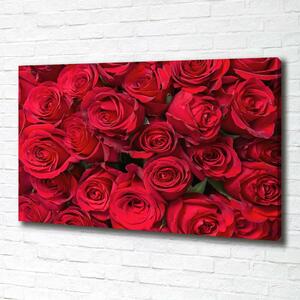 Tablou canvas trandafiri rosii