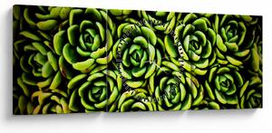 Tablou cu flori de piatră (cu ceas) (90x30 cm)