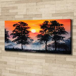 Tablou pe pânză canvas pădure Apus de soare