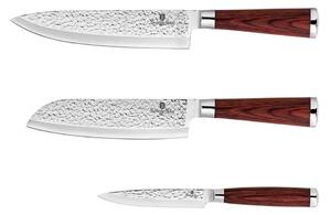 Set de cuțite din oțel inoxidabil 3 buc. lemn/oțel inoxidabil BerlingerHaus