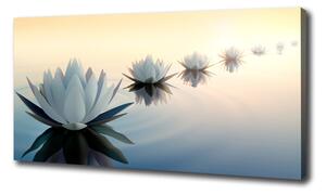 Tablouri tipărite pe pânză flori de lotus
