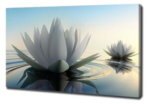 Tablou pe pânză canvas floare de lotus