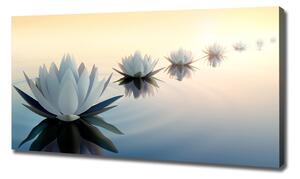Tablouri tipărite pe pânză flori de lotus