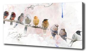 Imprimare tablou canvas Păsări pe o ramură