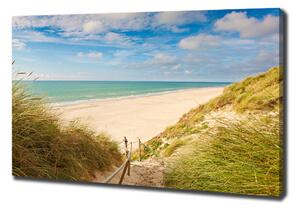Tablou pe pânză canvas dune de coastă