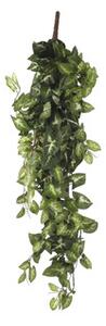 Plantă artificială, Syngonium, L 80 cm, verde