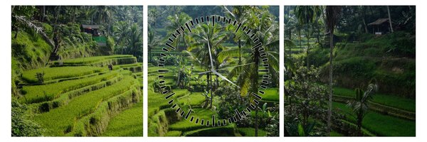 Tablou cu terasele cu orez Tegalalang, Bali (cu ceas) (90x30 cm)