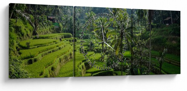 Tablou cu terasele cu orez Tegalalang, Bali (cu ceas) (90x30 cm)