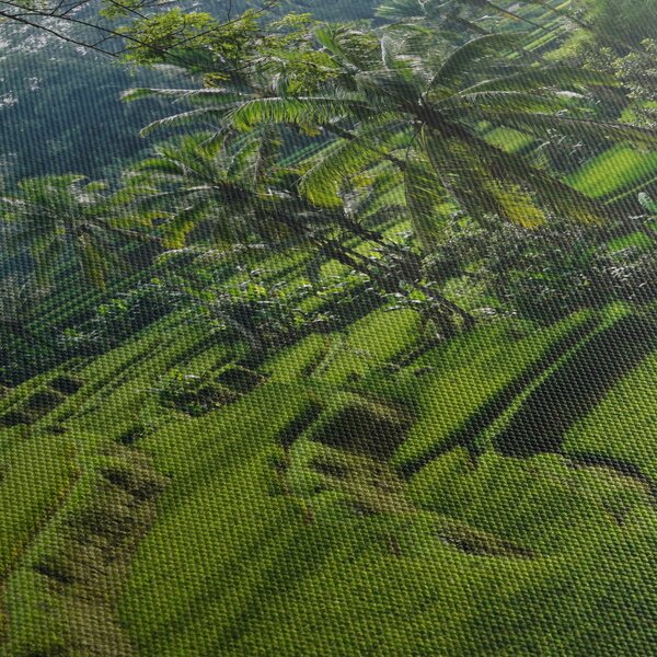 Tablou cu terasele cu orez Tegalalang, Bali (150x105 cm)