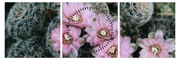 Tablou floare de cactus (cu ceas) (90x30 cm)