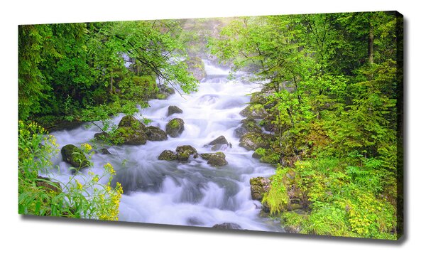 Tablou pe pânză canvas râu de munte