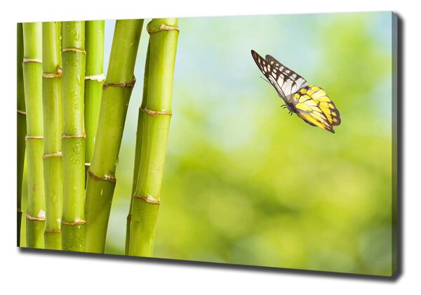 Print pe canvas Bambus și fluture