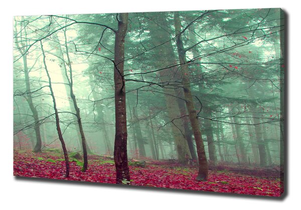 Tablou pe pânză canvas Frunze de toamna