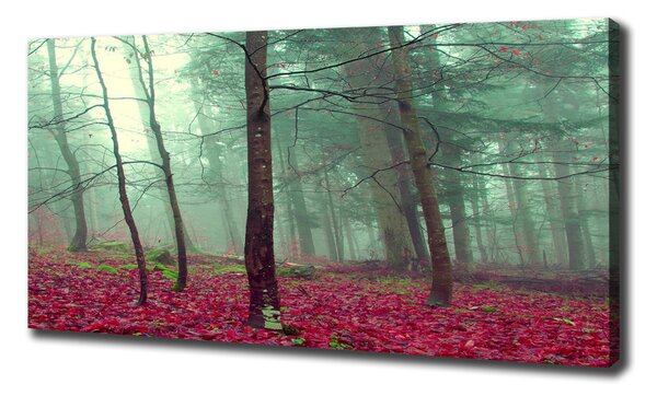 Tablou pe pânză canvas Frunze de toamna