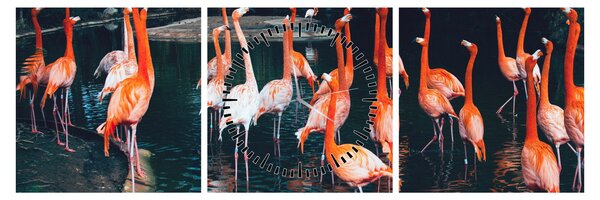 Tablou - turmă de flamingo (cu ceas) (90x30 cm)